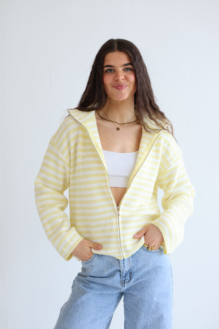Striped Zip Cardigan