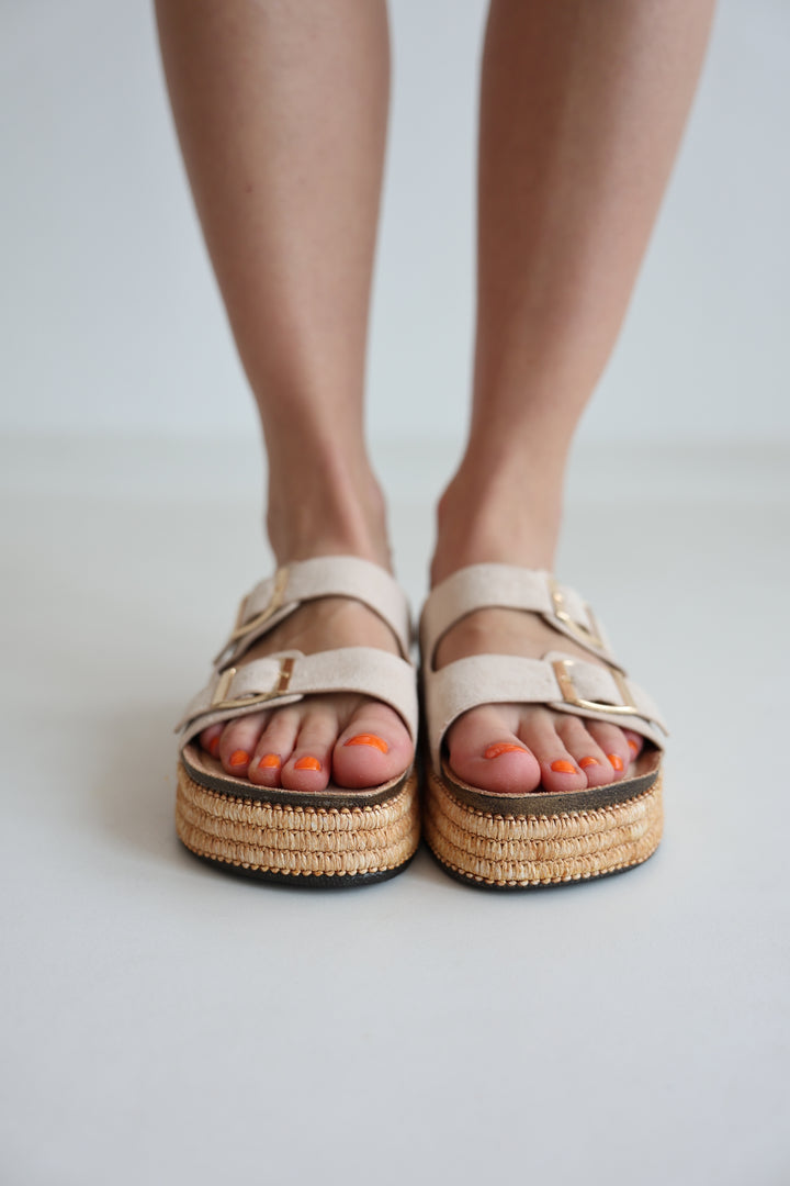 Platform Slides Alexa