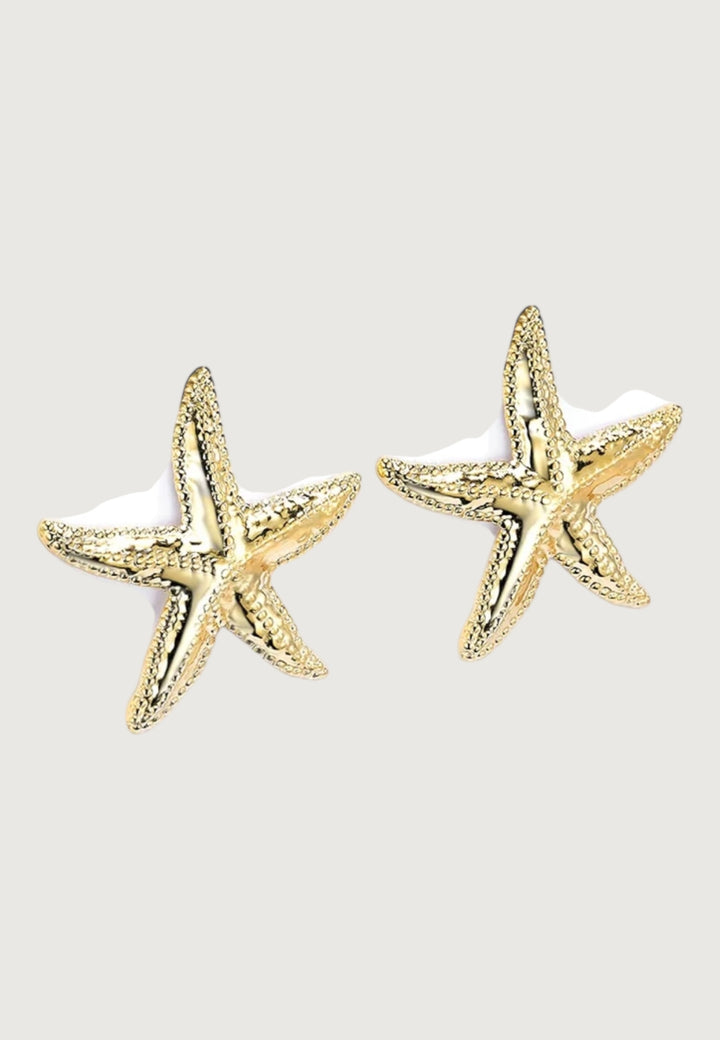 Große Ohrstecker Seestar