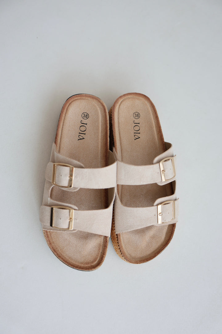 Platform Slides Alexa