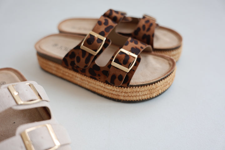 Platform Slides Alexa