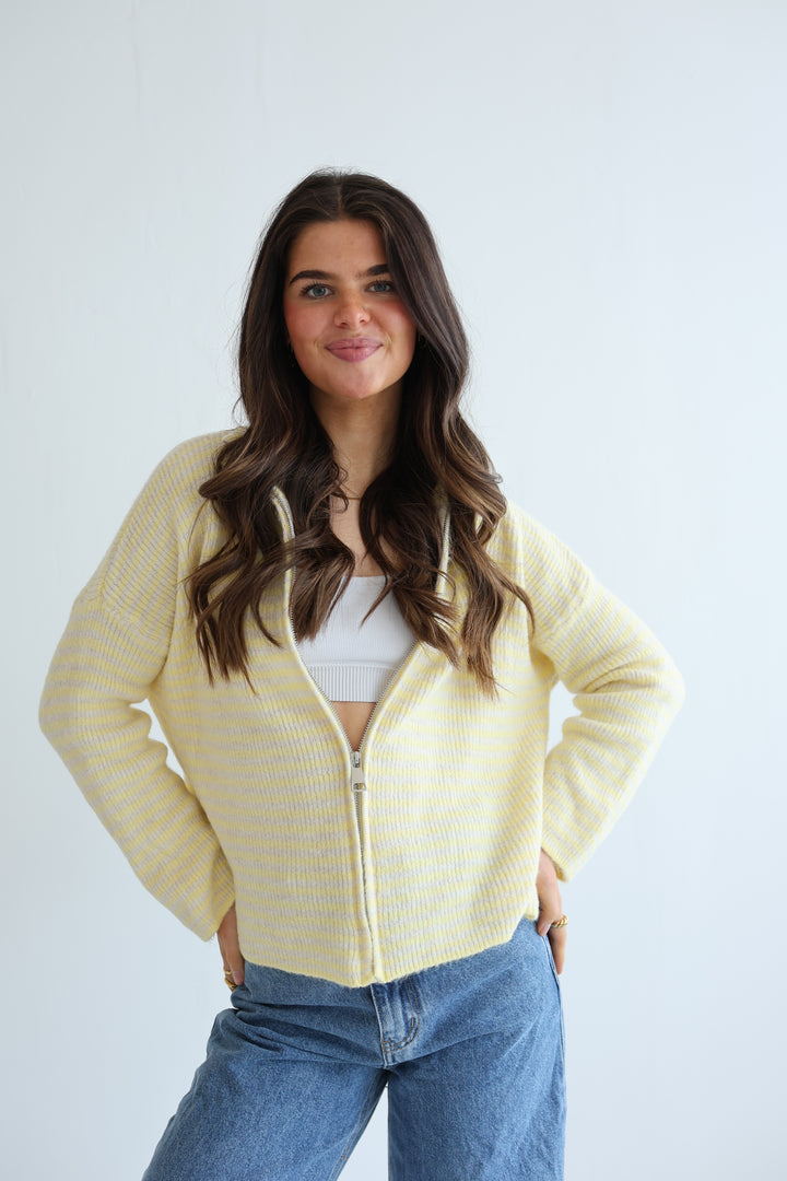 Zip Cardigan Fine Stripes