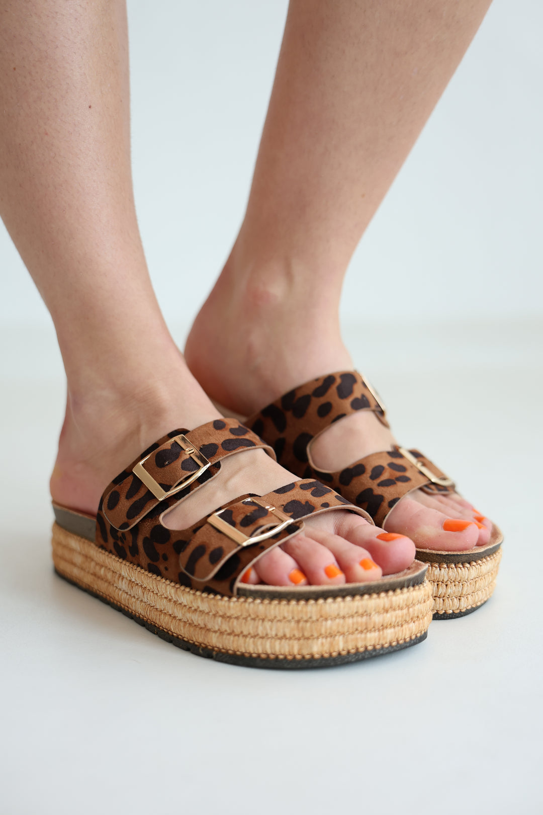 Platform Slides Alexa