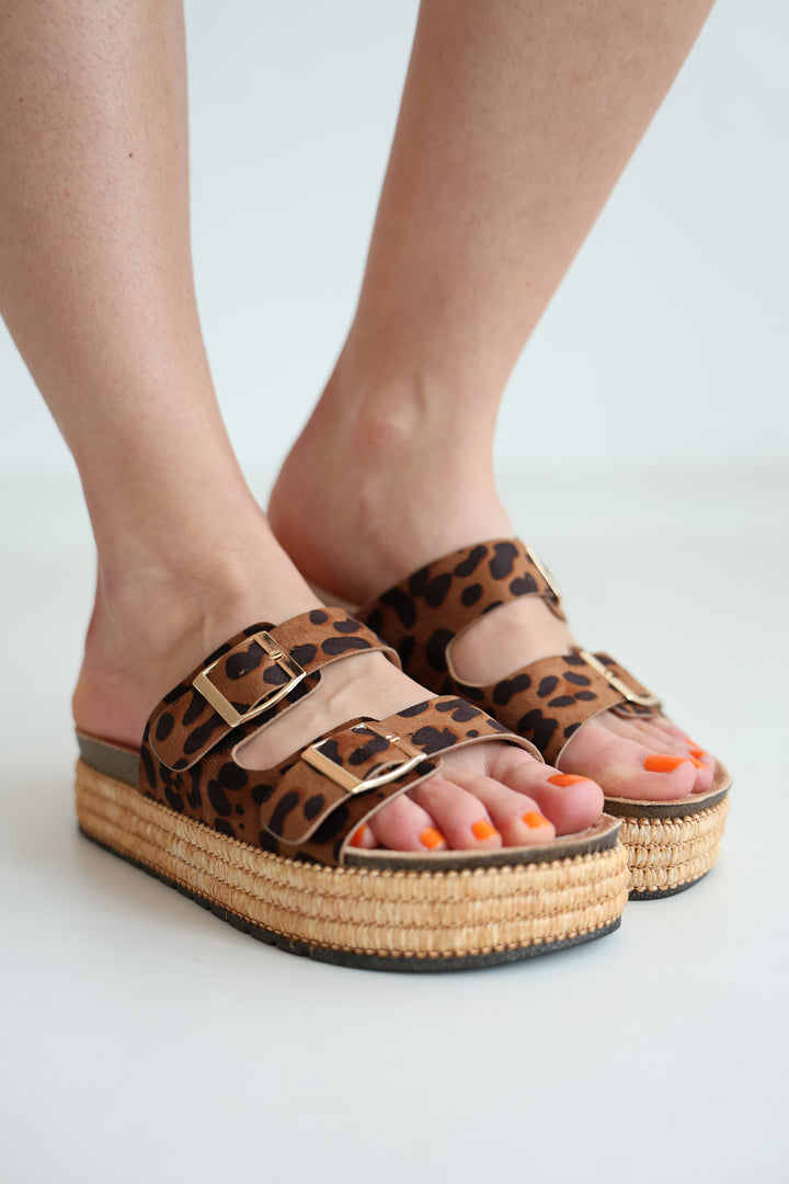 Platform Slides Alexa