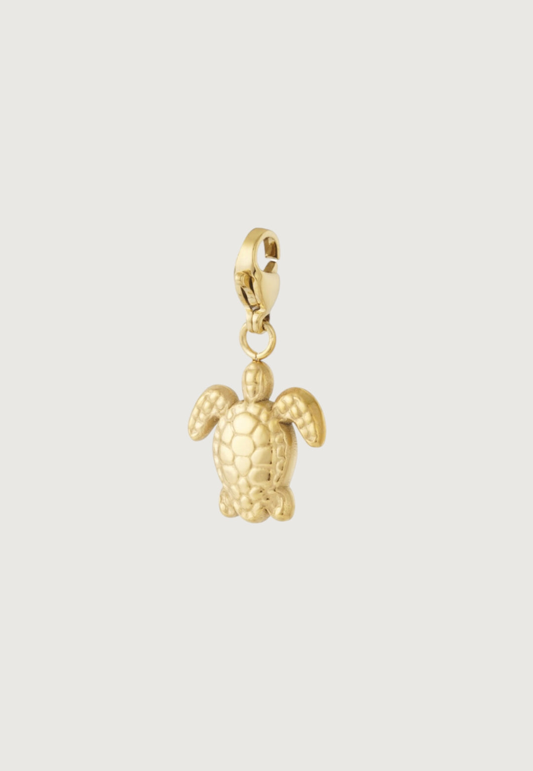Turtle Charm