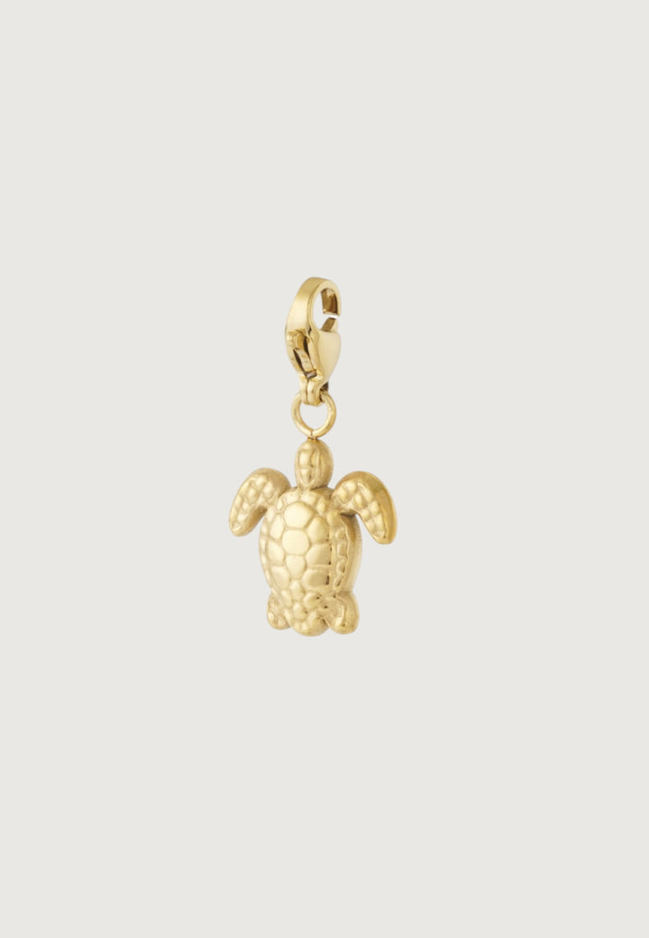 Turtle Charm