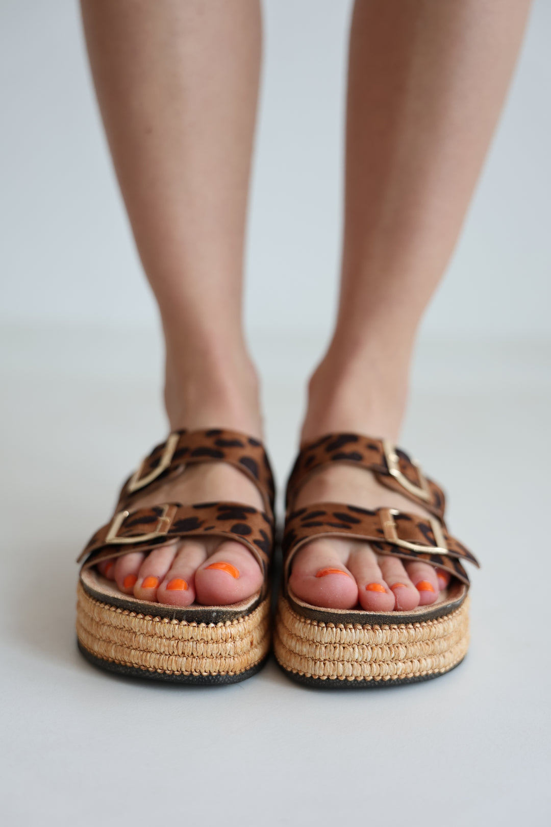 Platform Slides Alexa