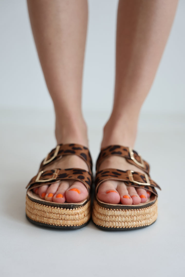 Platform Slides Alexa