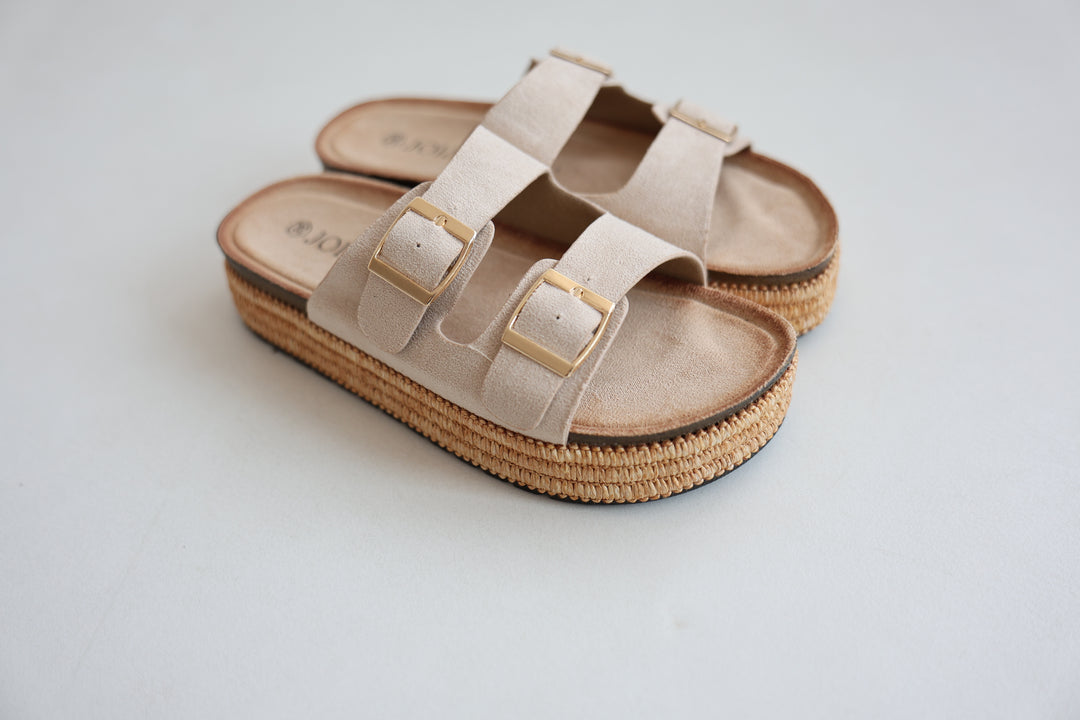 Platform Slides Alexa