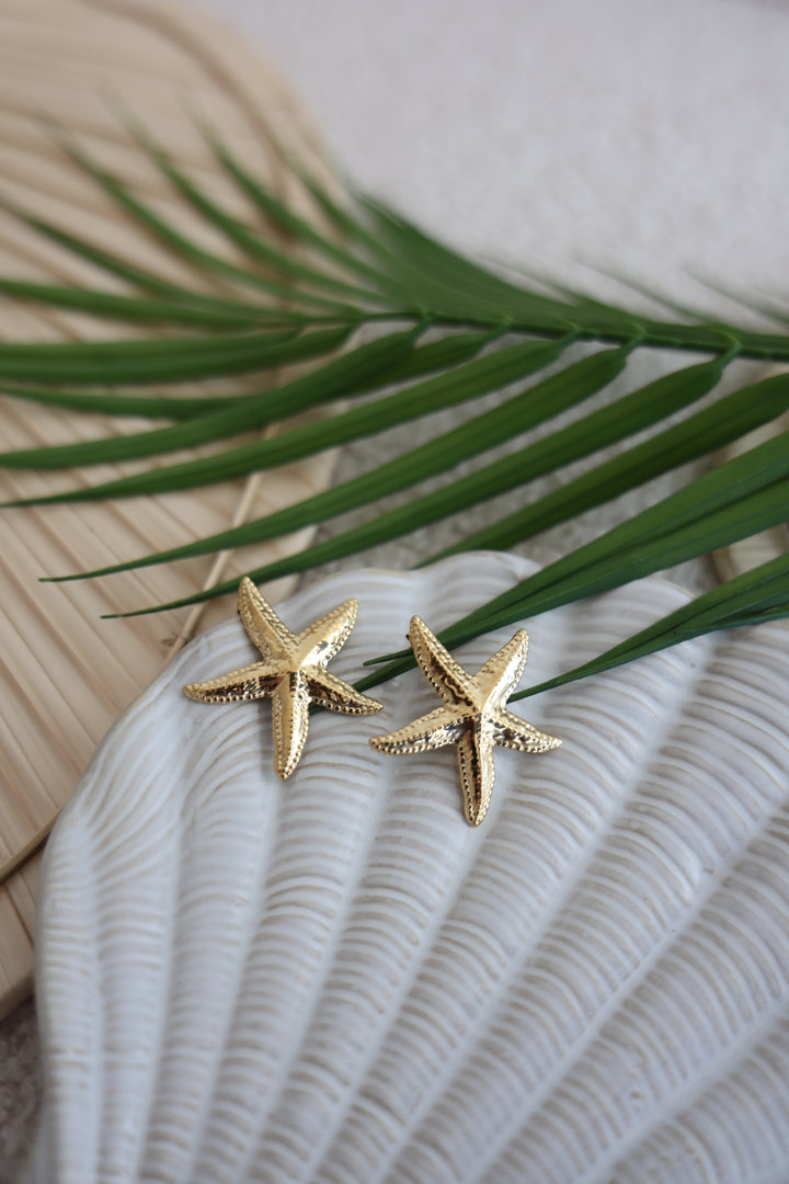 Große Ohrstecker Seestar