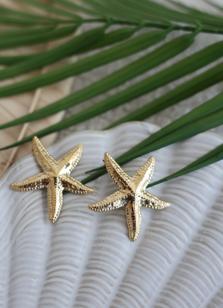 Große Ohrstecker Seestar